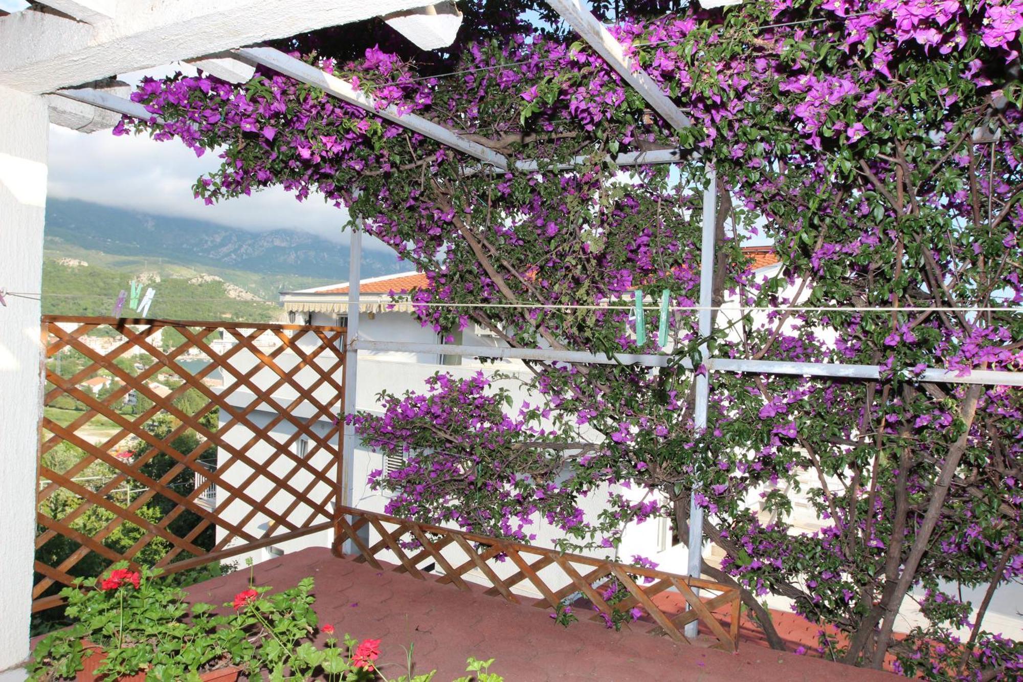 Apartment Sandra Budva Værelse billede